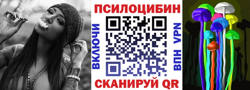 Псилоцибиновые грибы Magic Shrooms  Купить закладки  Высоцк 